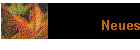 Neues